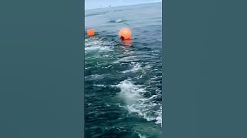 GILL NET FISHING LINE