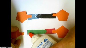 DNA Paper Model Building Directions