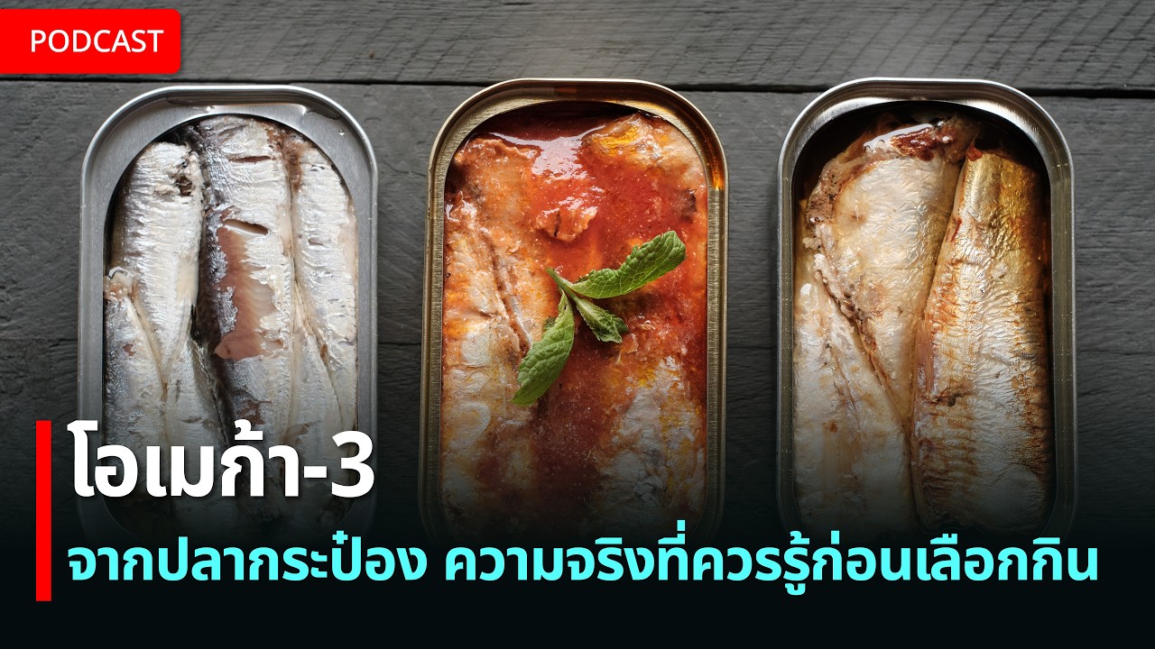 โอเมก้า-3 จากปลากระป๋อง: ความจริงที่ควรรู้ก่อนเลือกกิน | เรื่อง (ไม่) รู้รอบตัว
