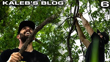 Vine Scrapes 101, Starting Mock Scrapes In May | Kaleb’s Blog