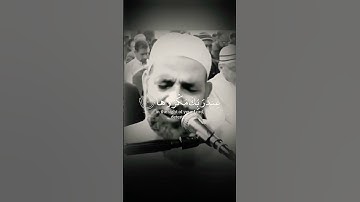 الشيخ حسن صالح ❤ حالات واتس اب قران ❤ تلاوة خاشعة 💙Quran Status 💜 اية قرانية قصيره 💚 ستوريات انستا