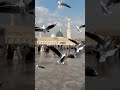 سبحان اللہ کہنے کی فضیلت ہے #answer #quranpakkosamjoapkizindagibadaljaegi