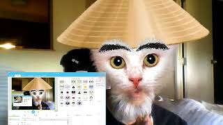 My Recording 1-Newshow-Mcmasterwayne264Davidson2018