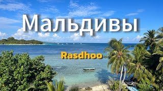 Maldives 2023 🇲🇻 о.Расду Rasdhoo / Песчаная коса / Задели винтом об кораллы
