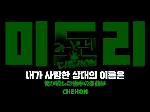 [가사/번역] "내가 사랑한 상대의 이름은" 미도리(みどり) - CHEHON