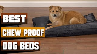 Best Chew Proof Dog Bed In 2024  Top 10 Chew Proof Dog Beds Review