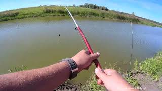 Бубенцы звенят. Рыбка ловится. Все понемногу fishing.