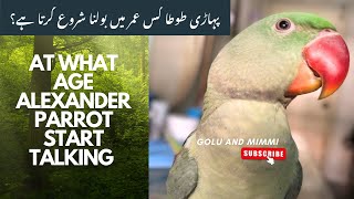 At What Age Alexandrine Parrot Start Talking?