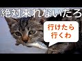 ボケての面白画像にツッコミしてみたwww86