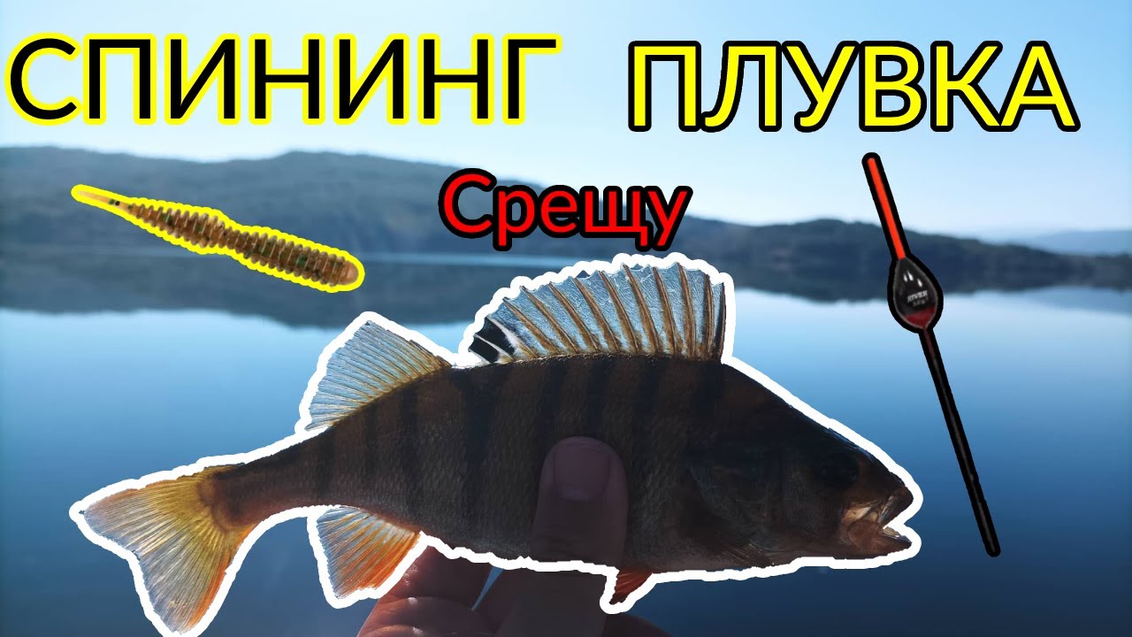 Чудесен КОСТУРСКИ риболов на яз  ЛОБОШ! СПИНИНГ срещу ПЛУВКА! Fishing for PERCH, SPINNING vs FLOAT!
