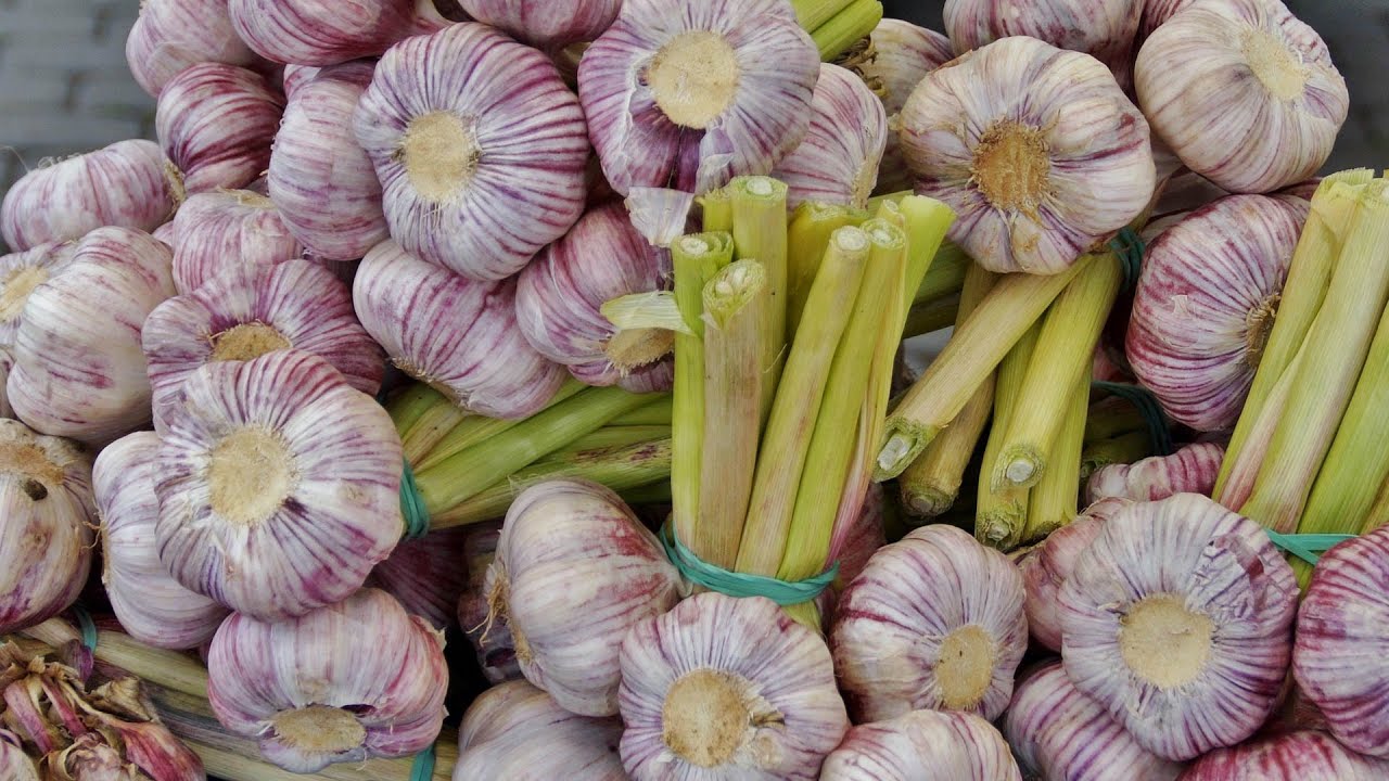 Можно ли чеснок натощак - YouTube