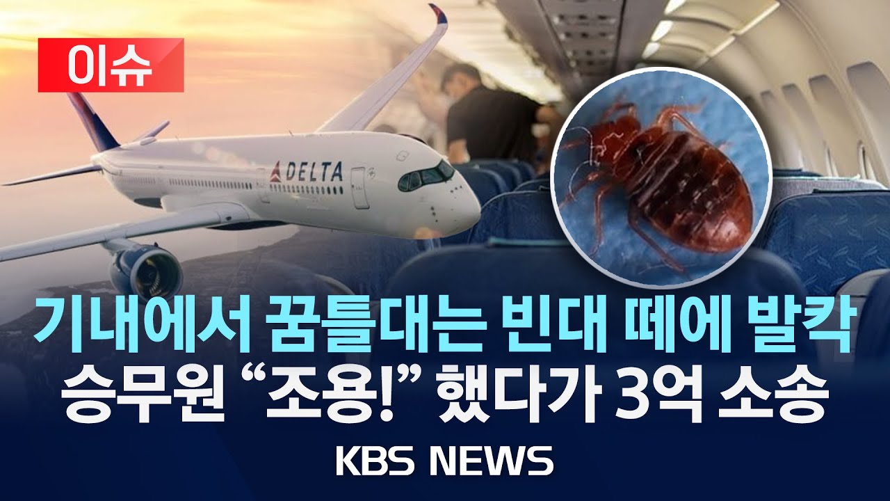 [🔴이슈] 기내에서 꿈틀대는 빈대 떼에 발칵 승무원 