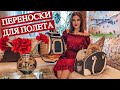 ОБЗОР ПЕРЕНОСОК для ПОЛЕТА.