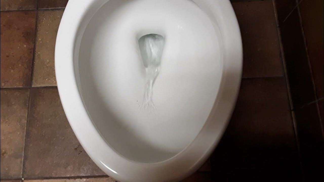 Brand New Kohler Elliston Toilet. YouTube