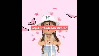 что дают за нфр Australian Kelpie трейды на нфр Australian Kelpie