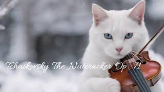 Tchaikovsky - The Nutcracker Op. 71
