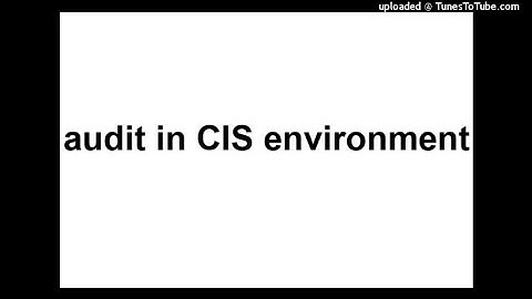 audit in CIS environment