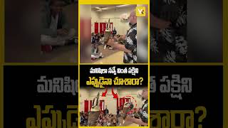 Laughing Kookaburra Viral | నవ్వుతున్న పక్షిని చూశారా? వైరల్ అవుతున్న కూకాబురా నవ్వు! | YK TV