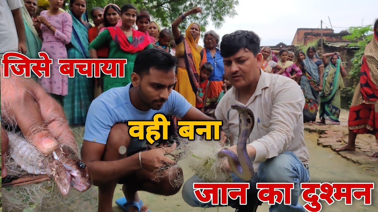 जिस जहरीले नाग को बचाया उसी ने छोड़ा गुड्डू मौर्या सर्पमित्र पर अपना पूरा ज़हर | मुश्किल से बचाई जान!