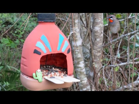 Terracotta Adobe 🐦 Bird Feeder Made from a ♻️ Recycled Bottle 🧴