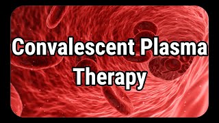 Convalescent plasma therapy explained