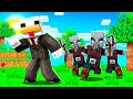 I PILLAGER ATTACCANO LA MIA CASA SU MINECRAFT!!