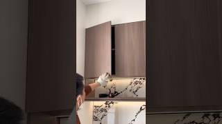 35mm Hinge Installation | Double Door Kitchen Cabinet #diy