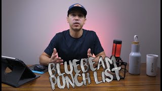Bluebeam Punch List