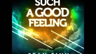 Sean Finn - Such A Good Feeling ( Jaques Raupe Radio Edit )