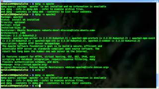 Check if a program is installed  Linux   Debian   dpkg   shell script   BASH
