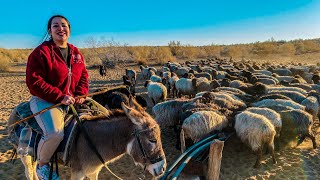 Узбекистан! Приняла Роды! На Месяц В Пустыню! Жизнь И Еда Пастуха! Казахи! Чабаны!