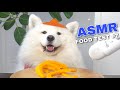 ASMR Dog Reviewing Different Types of Food #7 I MAYASMR