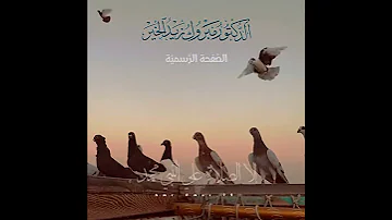 أدم الصلاة على النبي محمد صلى الله عليه وسلم الدكتور مبروك زيد الخير 