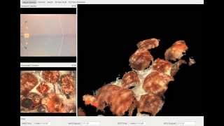 Micro AUV: Online 3D Reconstruction using Stereo Vision
