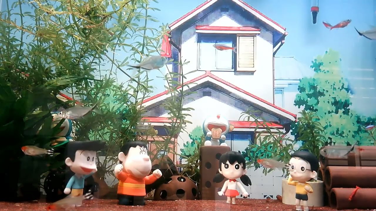 Many fish Swimming Fish Tank - Kitty Down the Stairs - Joel Cummins