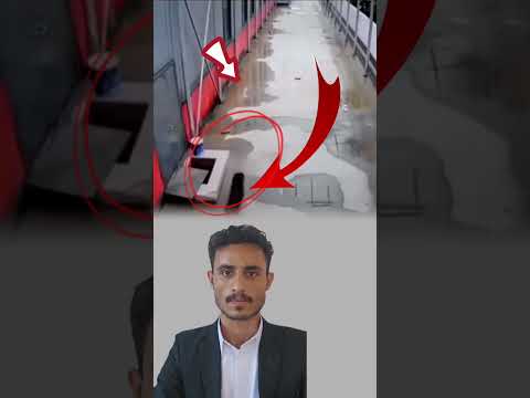 ما أصدق المواقف التي تأتي من مخلوقات لا تتكلم فهي تزرع فينا معنى الرحمة دون أن تنطق بكلمة