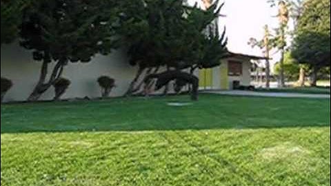 ChosonNinja (rolls & flips) video #096