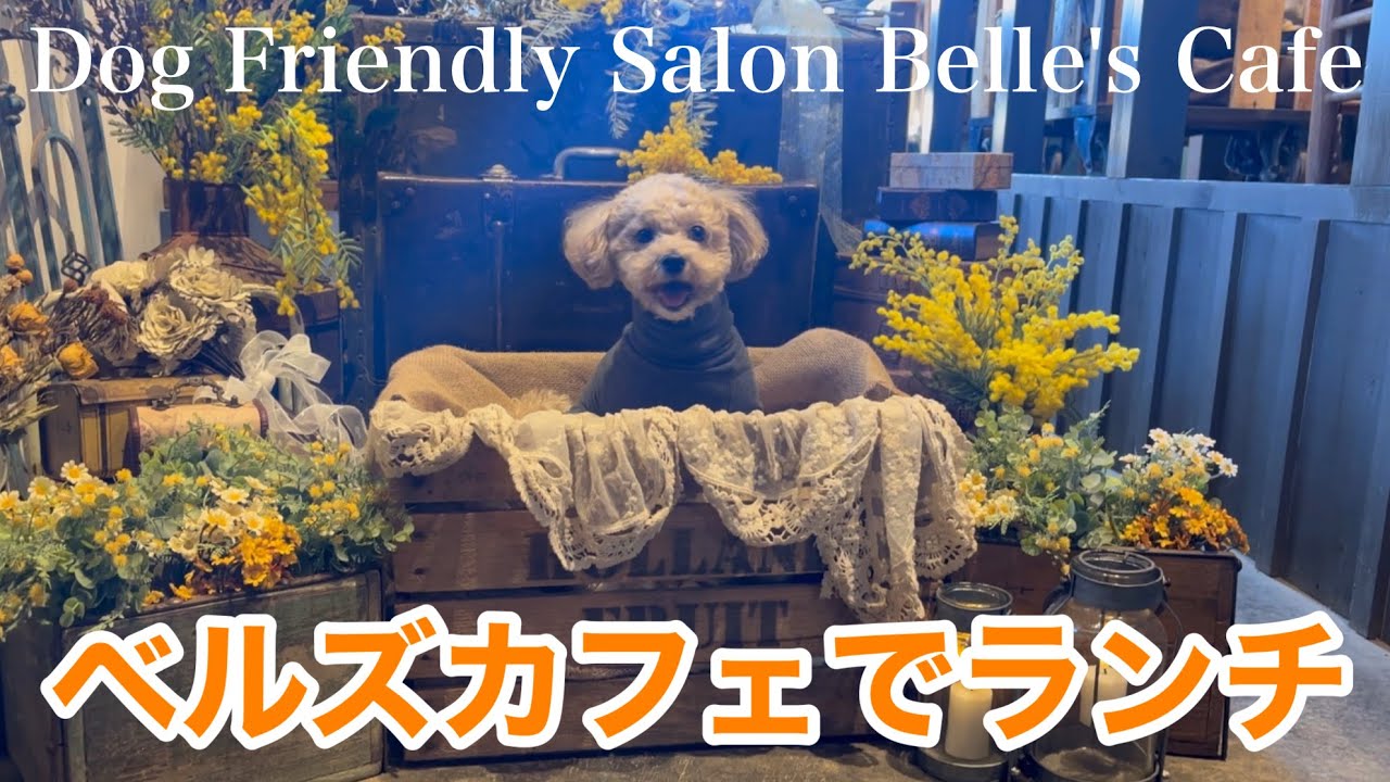 【マルプー】酒々井のベルズカフェに行ってきました！！！