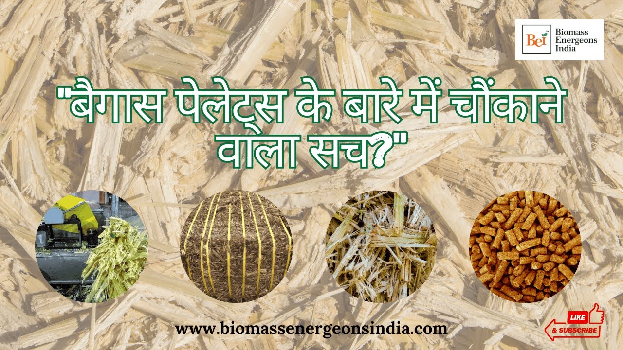 What's the Surprising Truth About Bagasse Pellets Nobody Tell You? || Biomass Energeons India