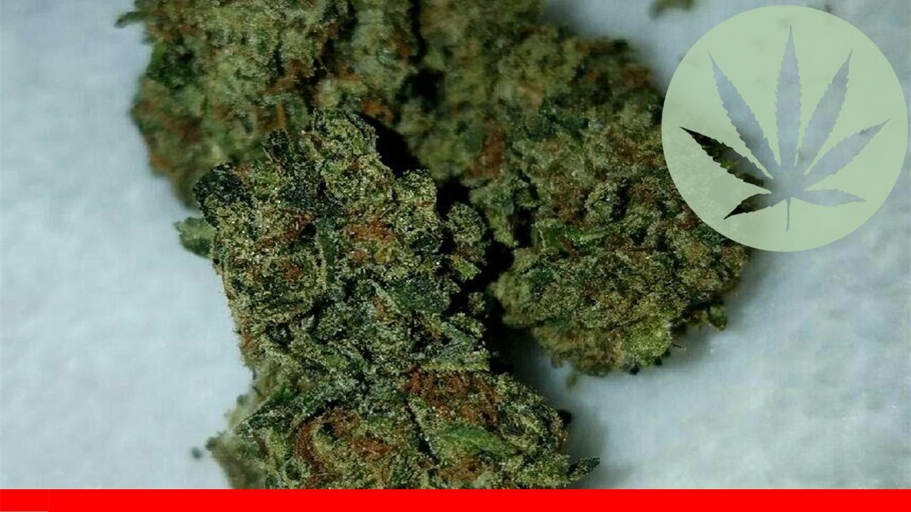 Mars Og - All About This Strain