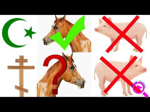 Почему русские едят свинину и не едят конину?? Медицина и религия отвечают