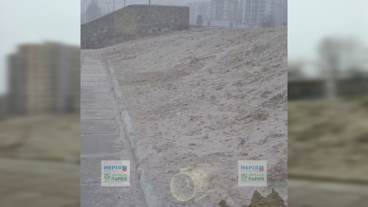 YouTube player