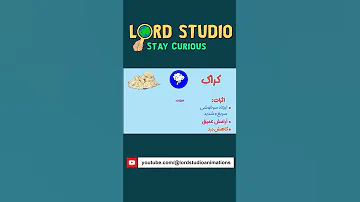 آشنایی با مواد مخدر کراک کراک هروئین اعتیاد Overdose Crack Lordstudio موادمخدر 