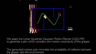 Magnetic motion control and planning of soft miniaturized grippers screenshot 4