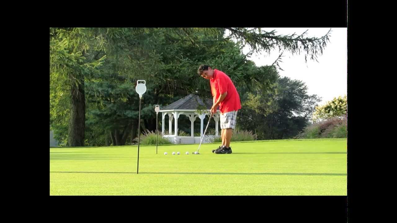 Wildlife & Golf Putting Video YouTube