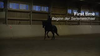 Dressurtrainingspirit Of Montevideo