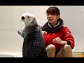 《鳥羽水族館》ラッコのメイのお食事タイム