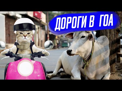 Как не умереть на дорогах ГОА. Гайд по выживанию в Индии