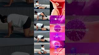 pcod yoga exercises for belly fat #shortsfeed #shorts #pcod #pcos #fibroids
