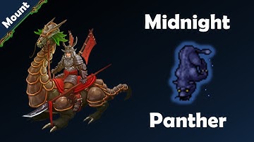 Midnight Panther - Tamed